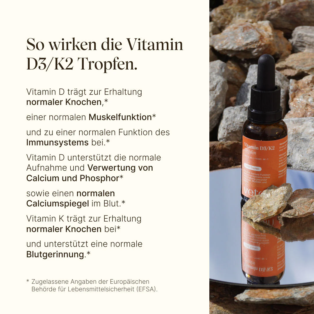 Vorschaubild 7